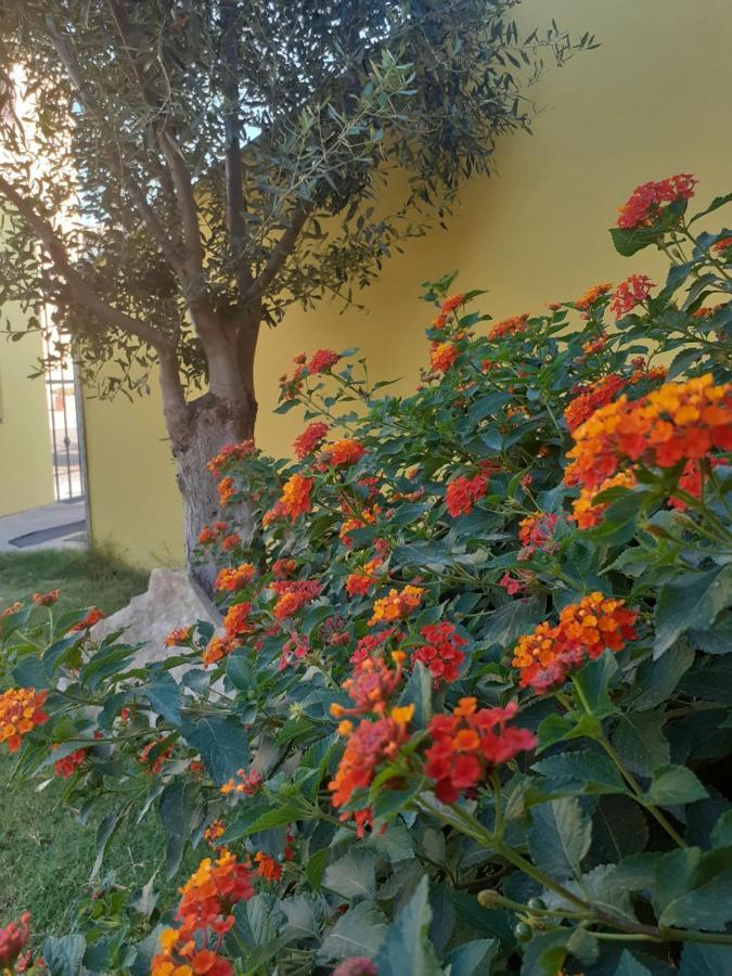 Appartamento A Pula In Zona Residenziale Buitenkant foto