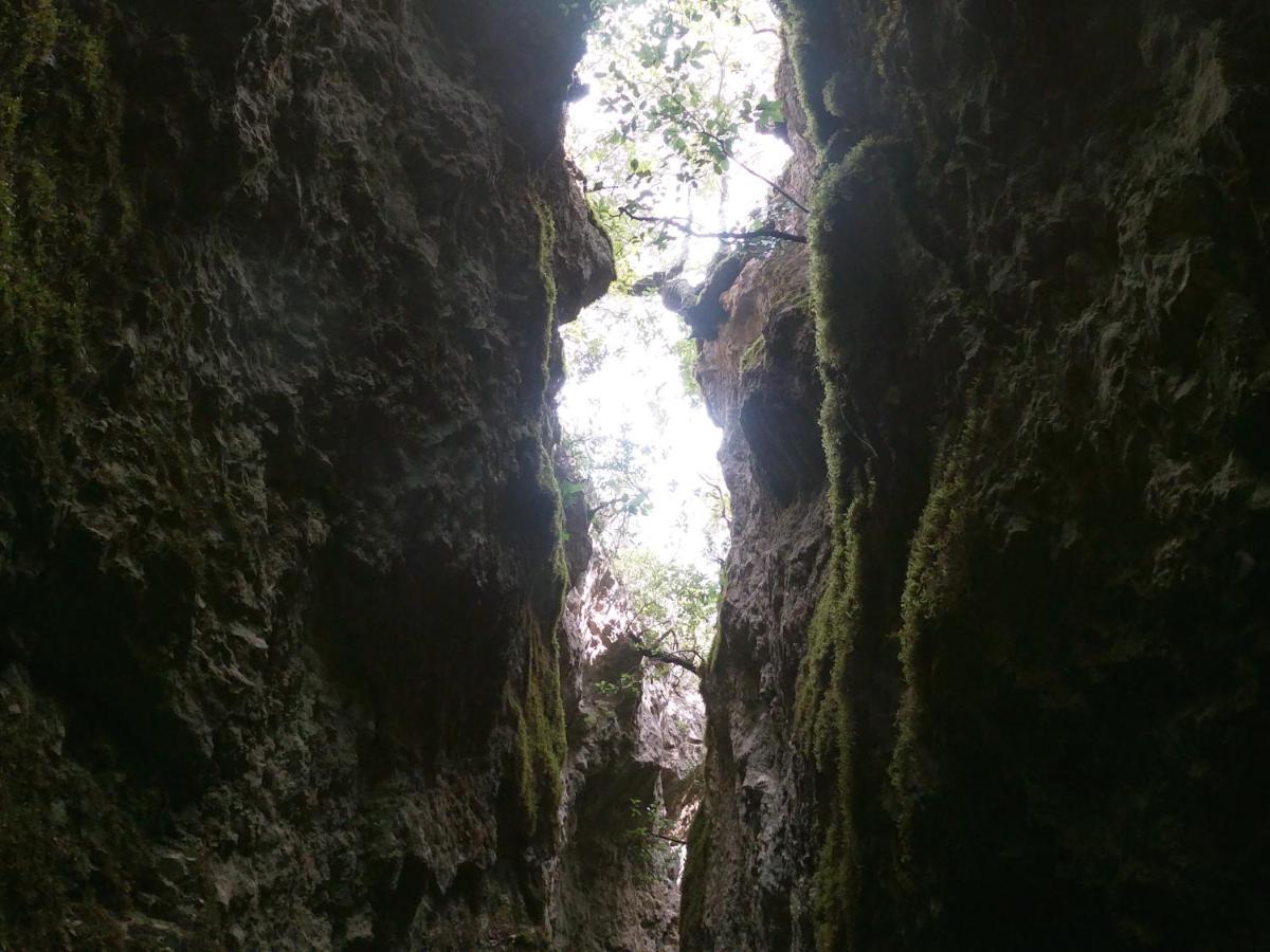 Appartamento A Pula In Zona Residenziale Buitenkant foto