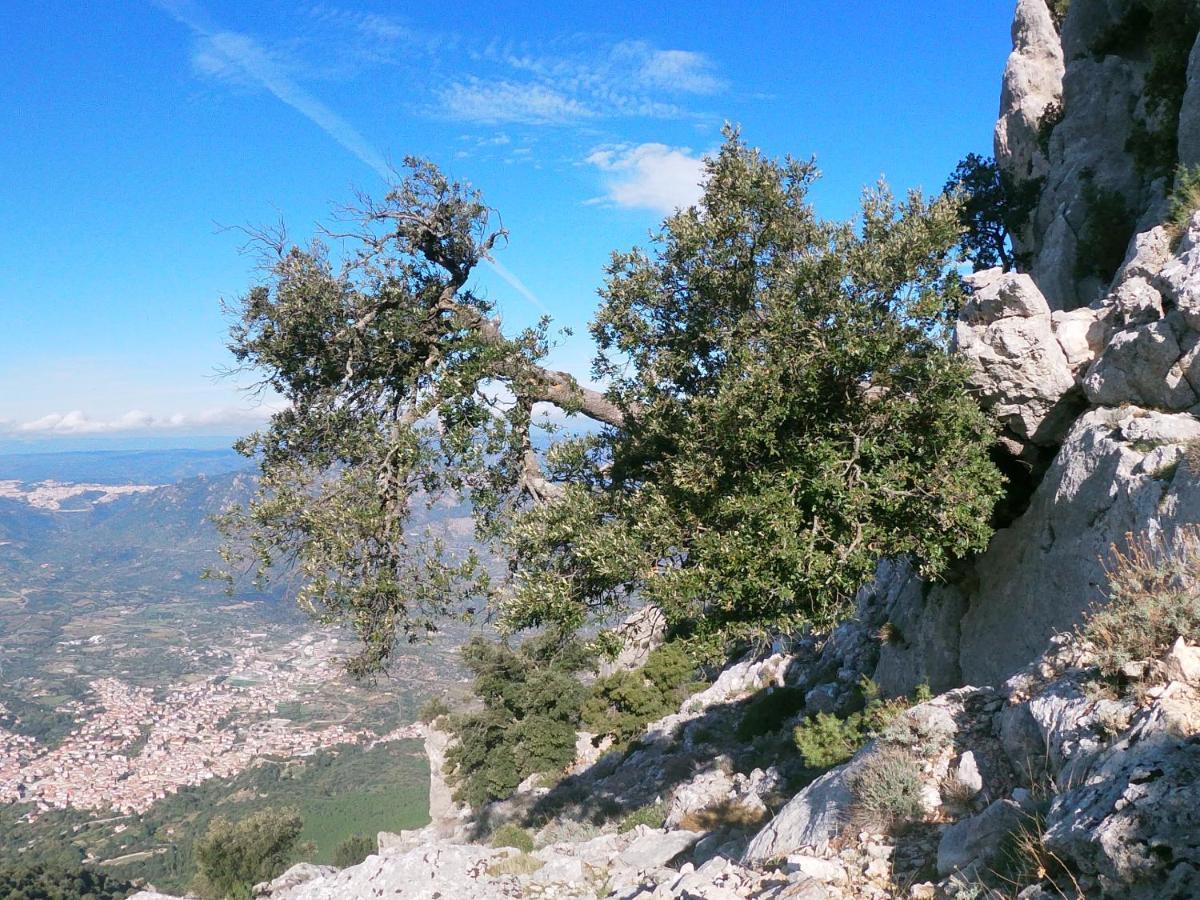 Appartamento A Pula In Zona Residenziale Buitenkant foto
