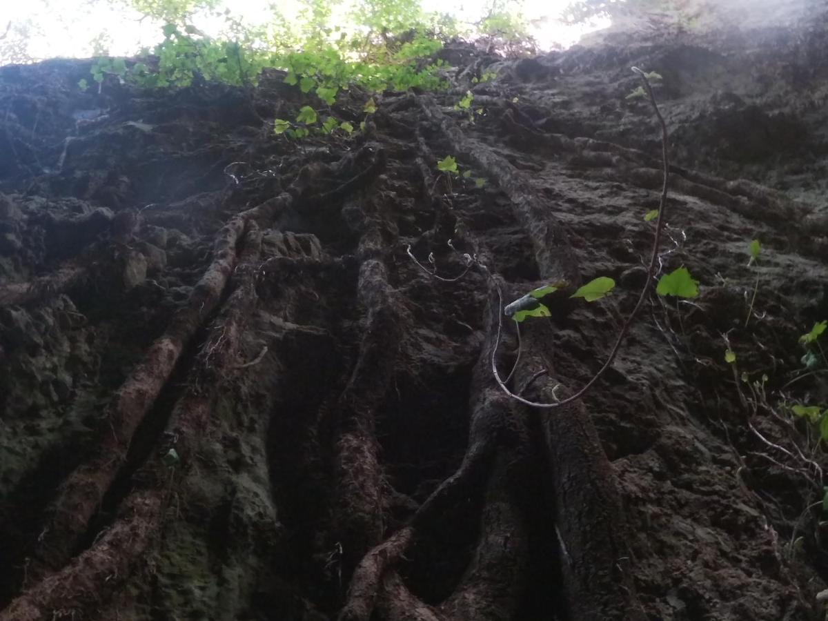 Appartamento A Pula In Zona Residenziale Buitenkant foto